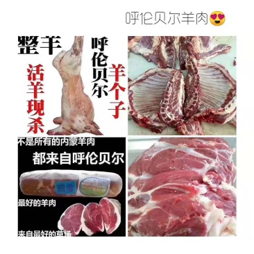羊肉