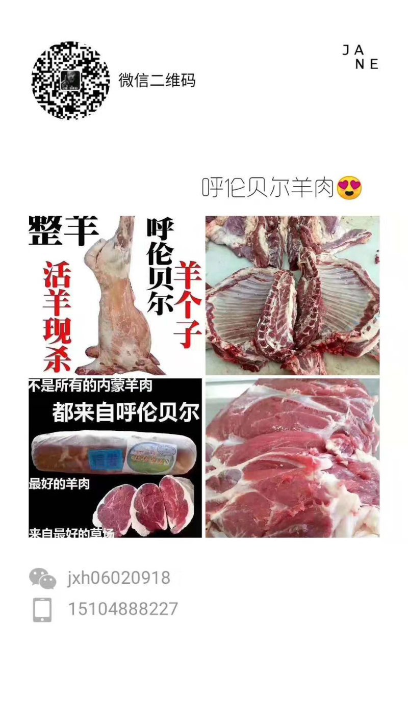 羊肉