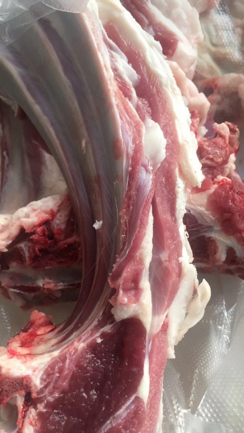 羊肉