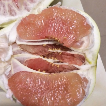 柚子