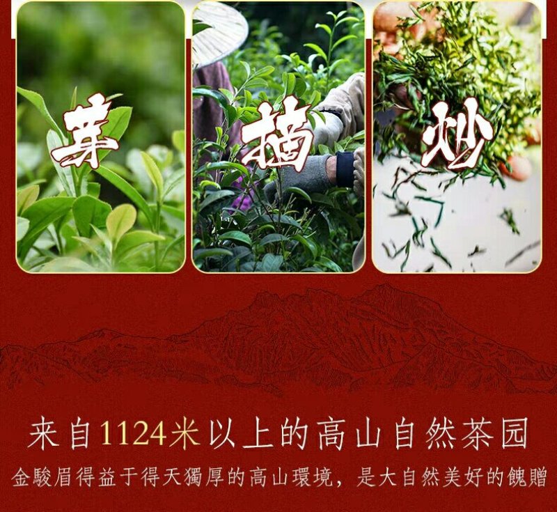 新茶经济型高金骏眉回甘耐泡125g/盒4盒共500g