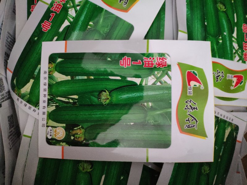 绿油一号油皮丝瓜种籽10克袋装支持线上交易