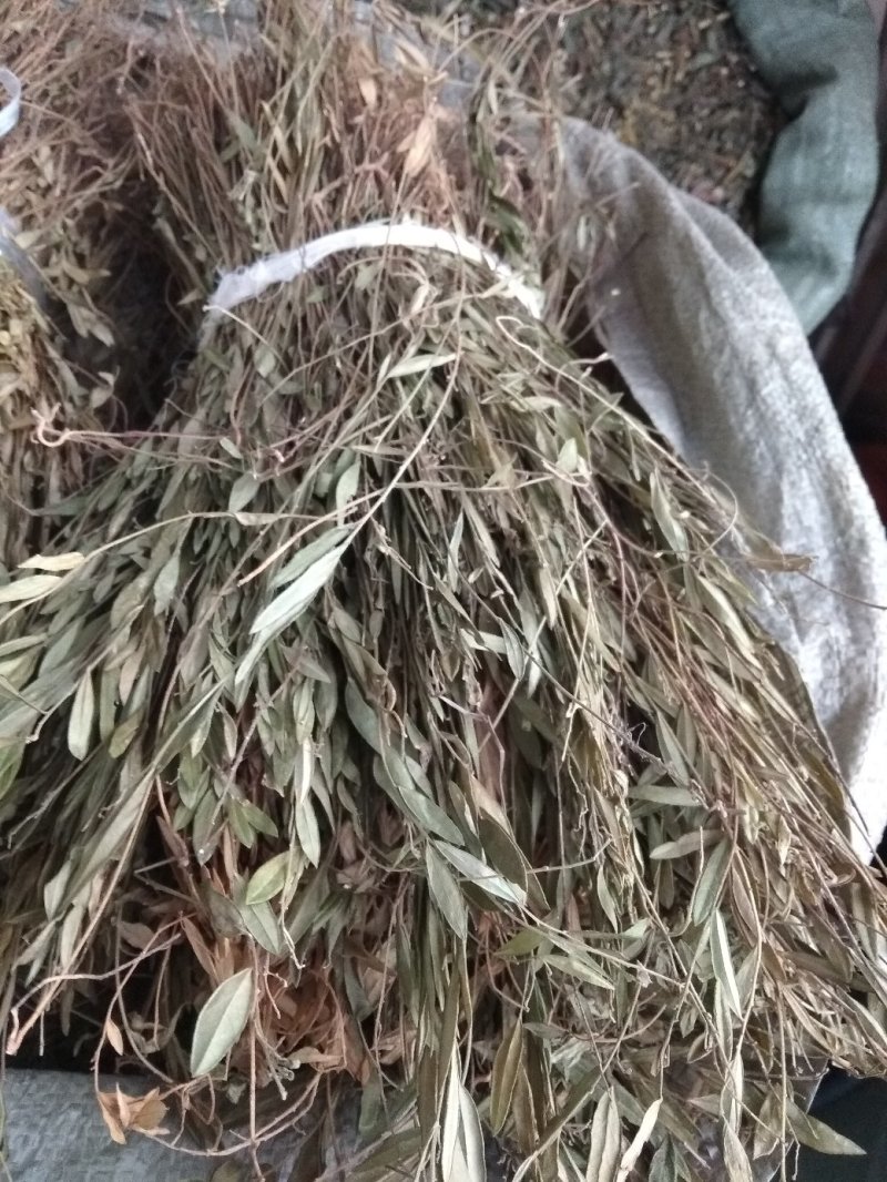 瓜子金贵州地产中药材，全株瓜子金，齐手漂亮