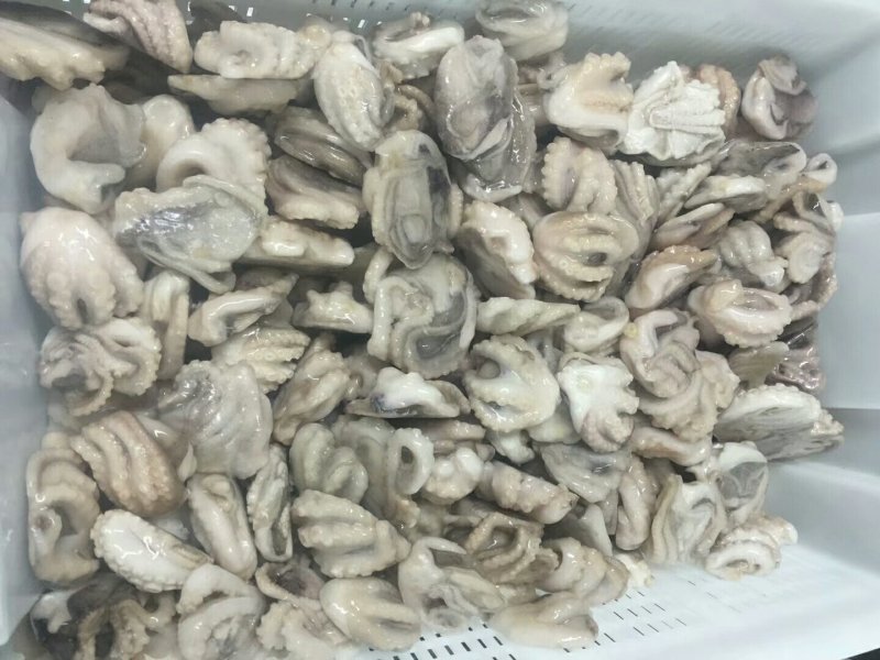 日照速冻八爪鱼单冻去脏去牙小章鱼大量供应价格美丽