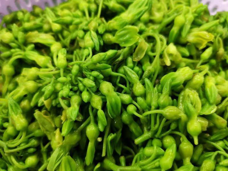 野菜特菜
