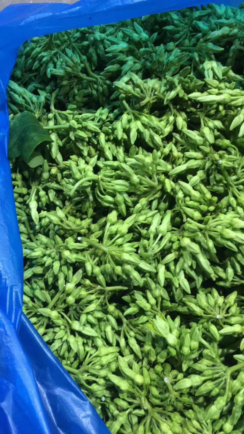野菜特菜