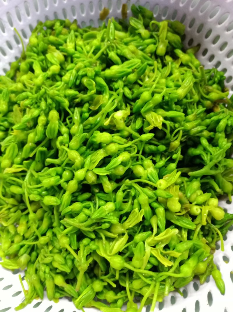 野菜特菜
