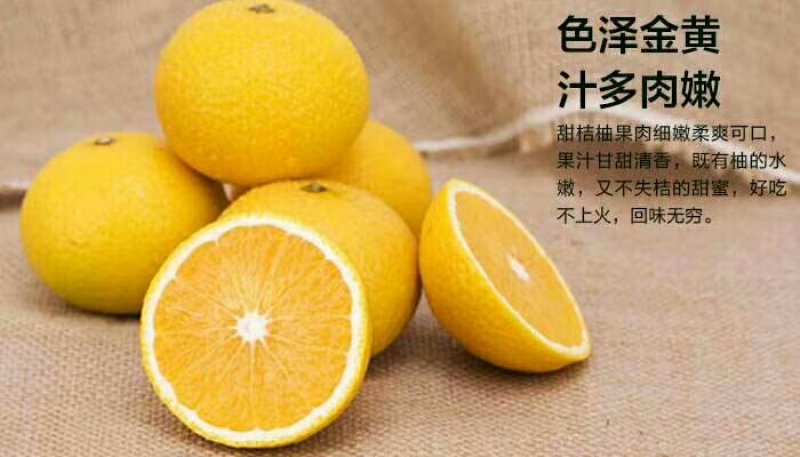 桔柚