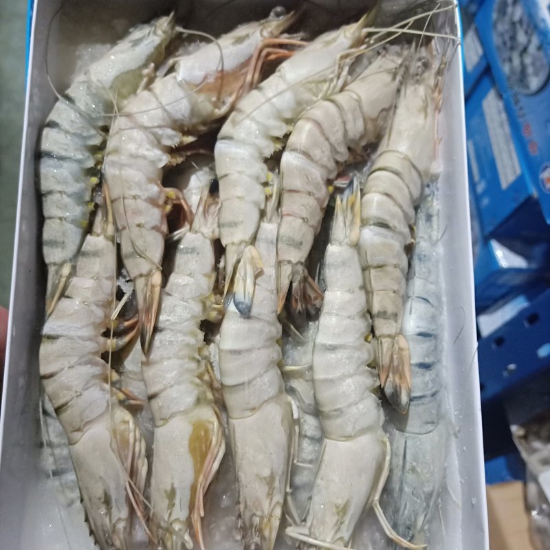 泰国进口熟虾