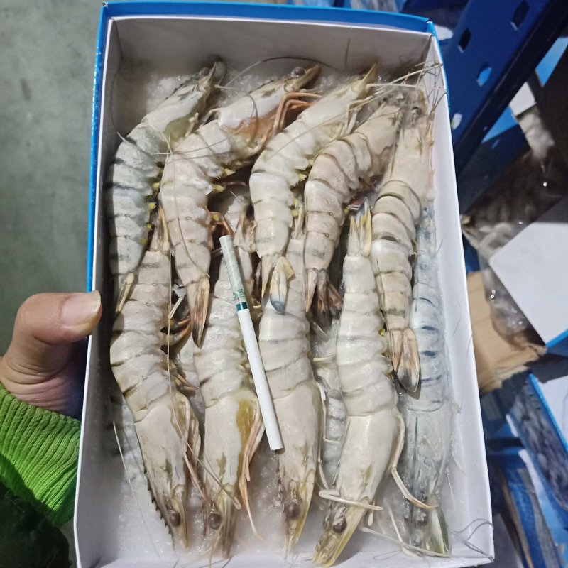 泰国进口熟虾