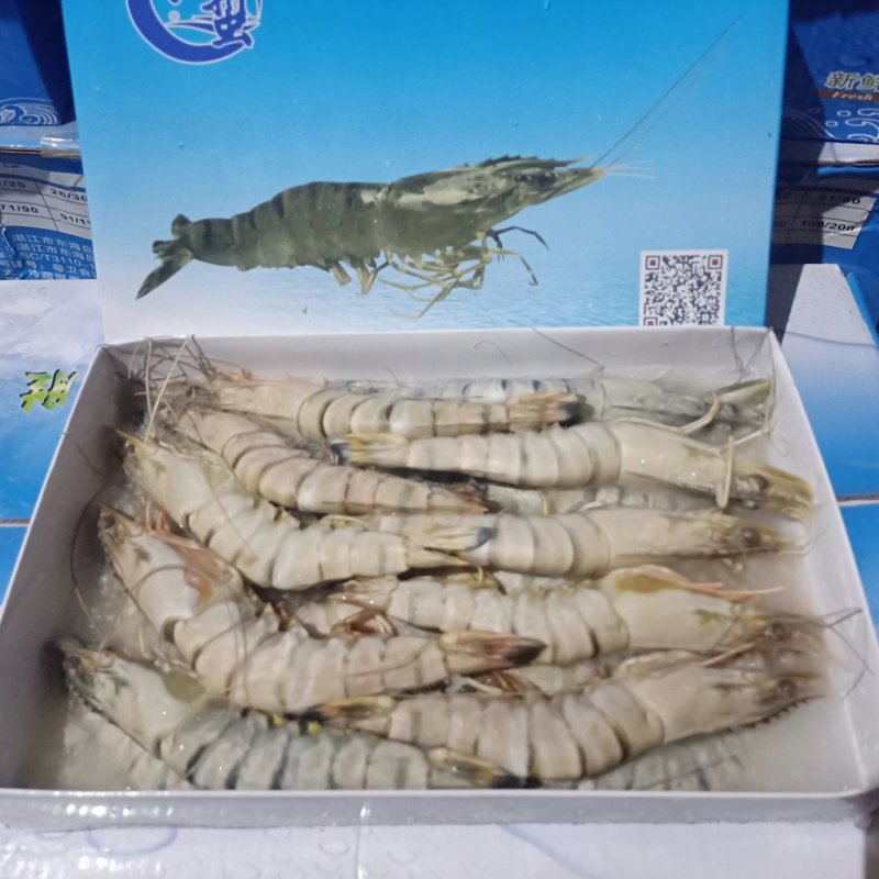 泰国进口熟虾