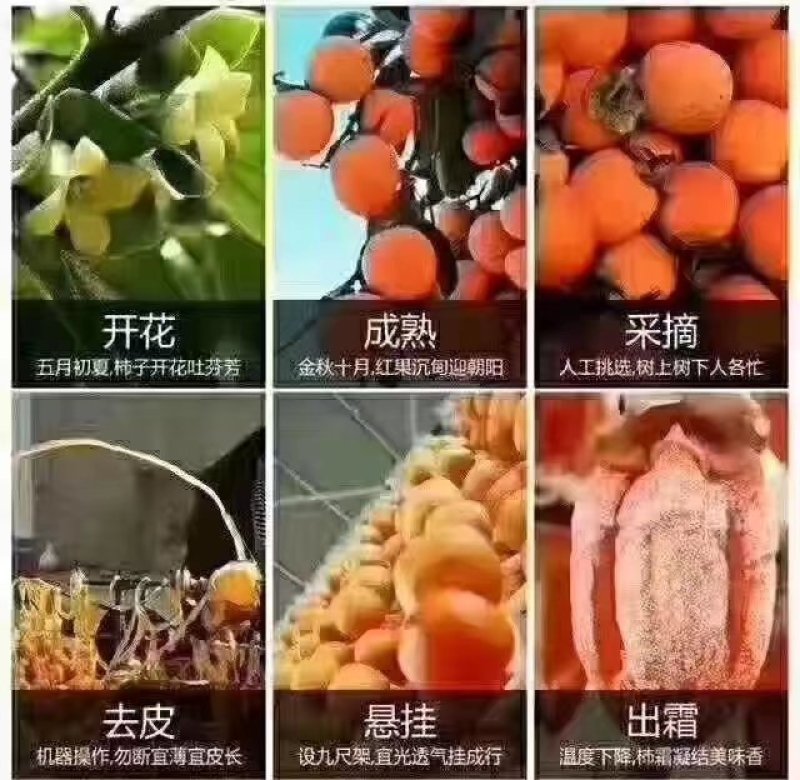 富平柿饼