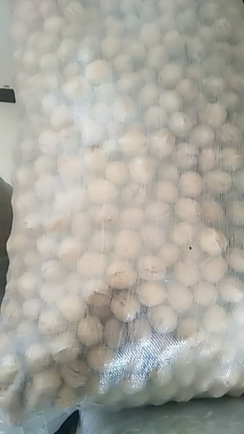 坚果干果