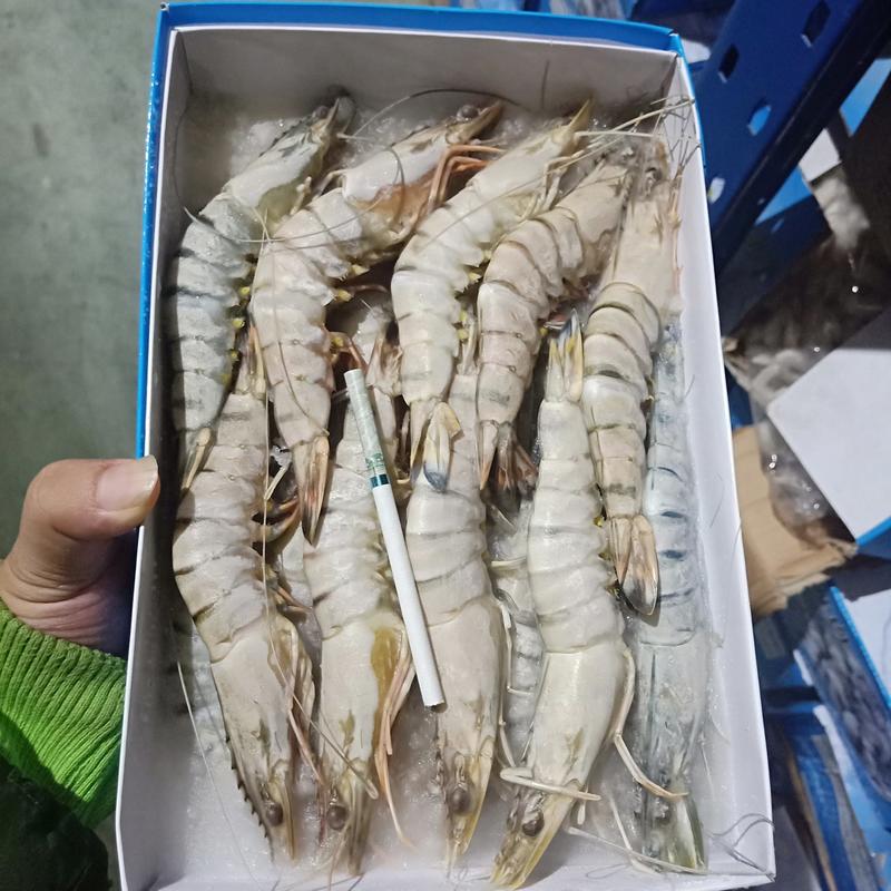 泰国进口草虾