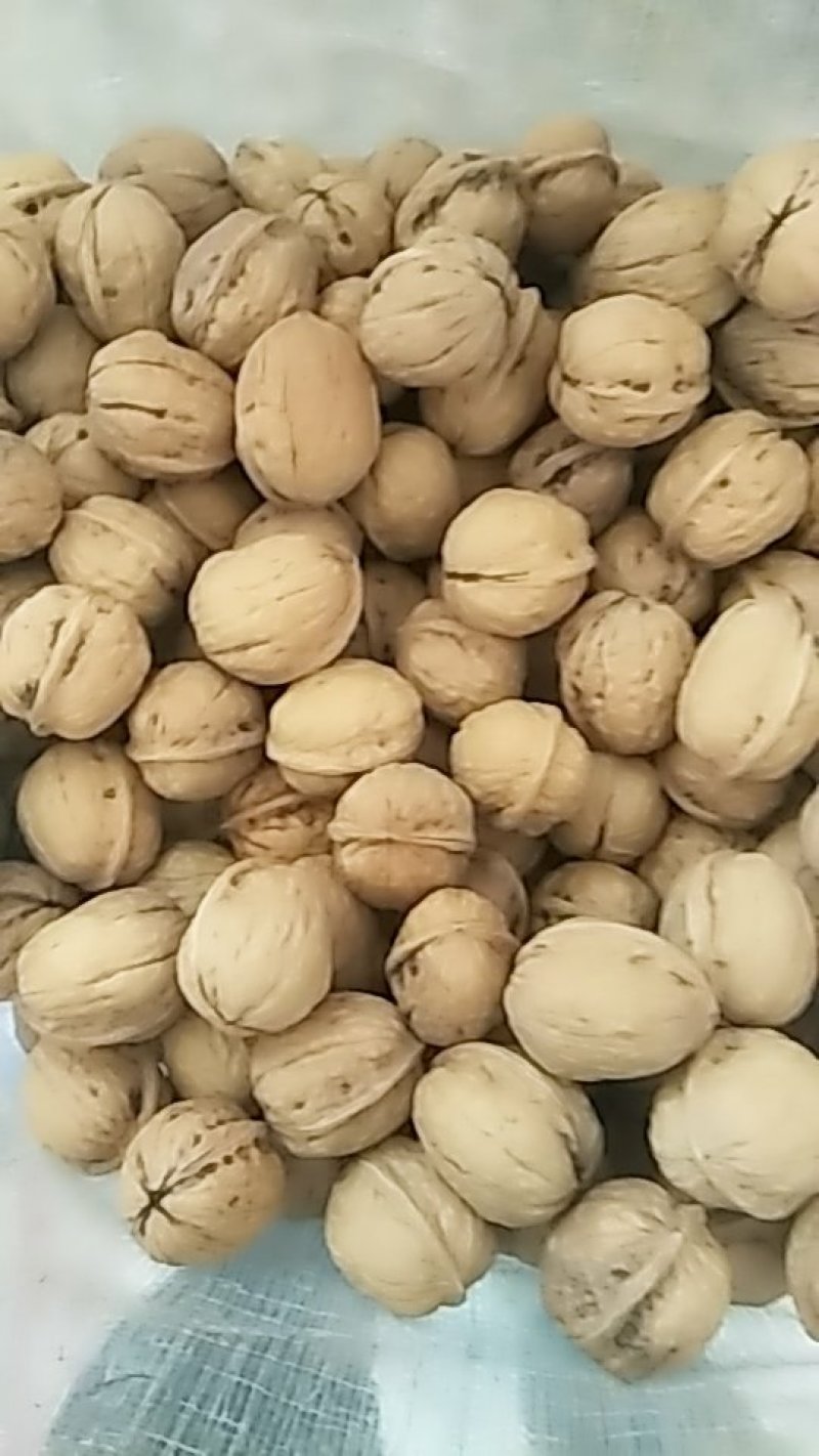 坚果干果