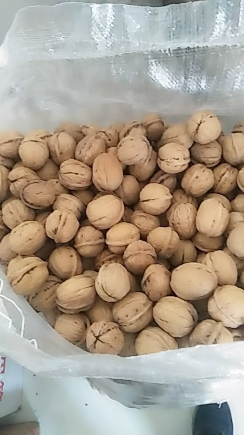 坚果干果
