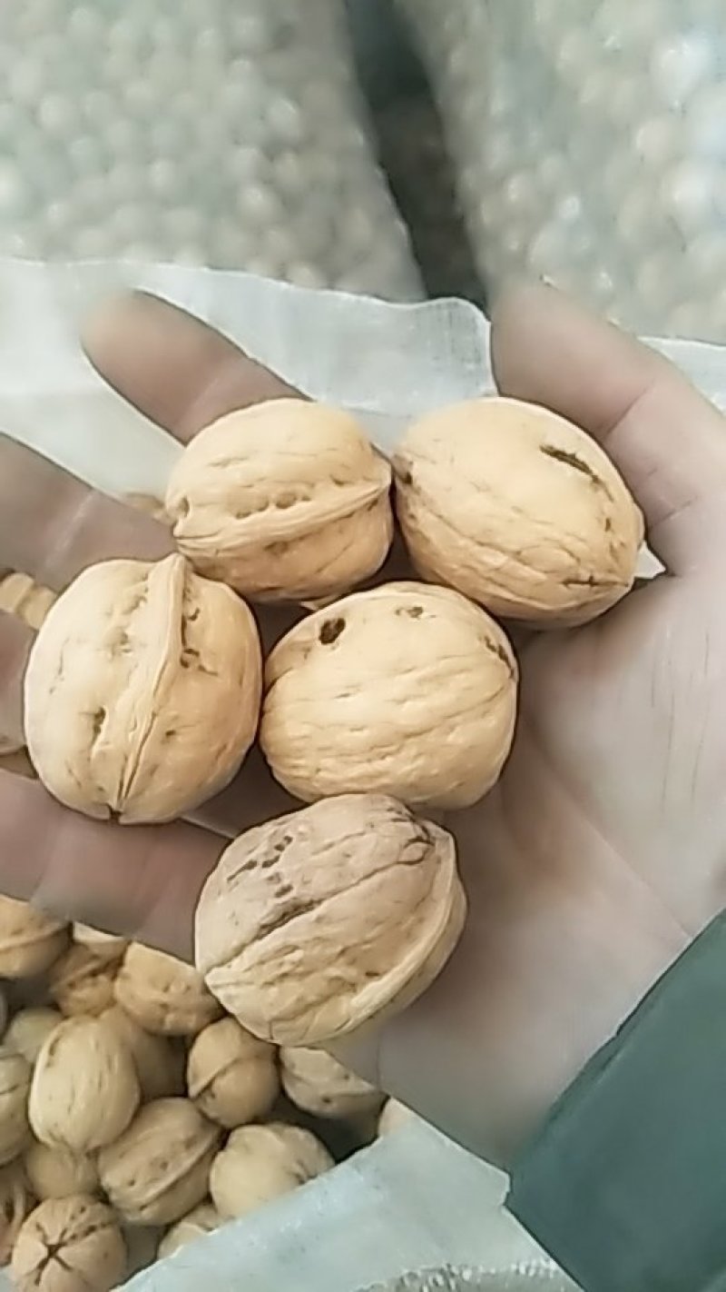 坚果干果