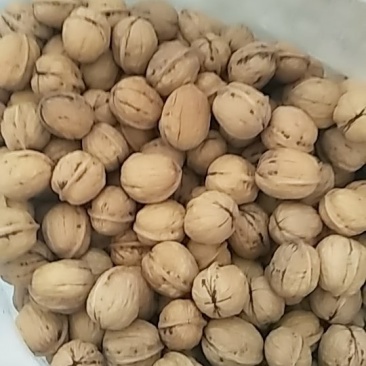 清香核桃
