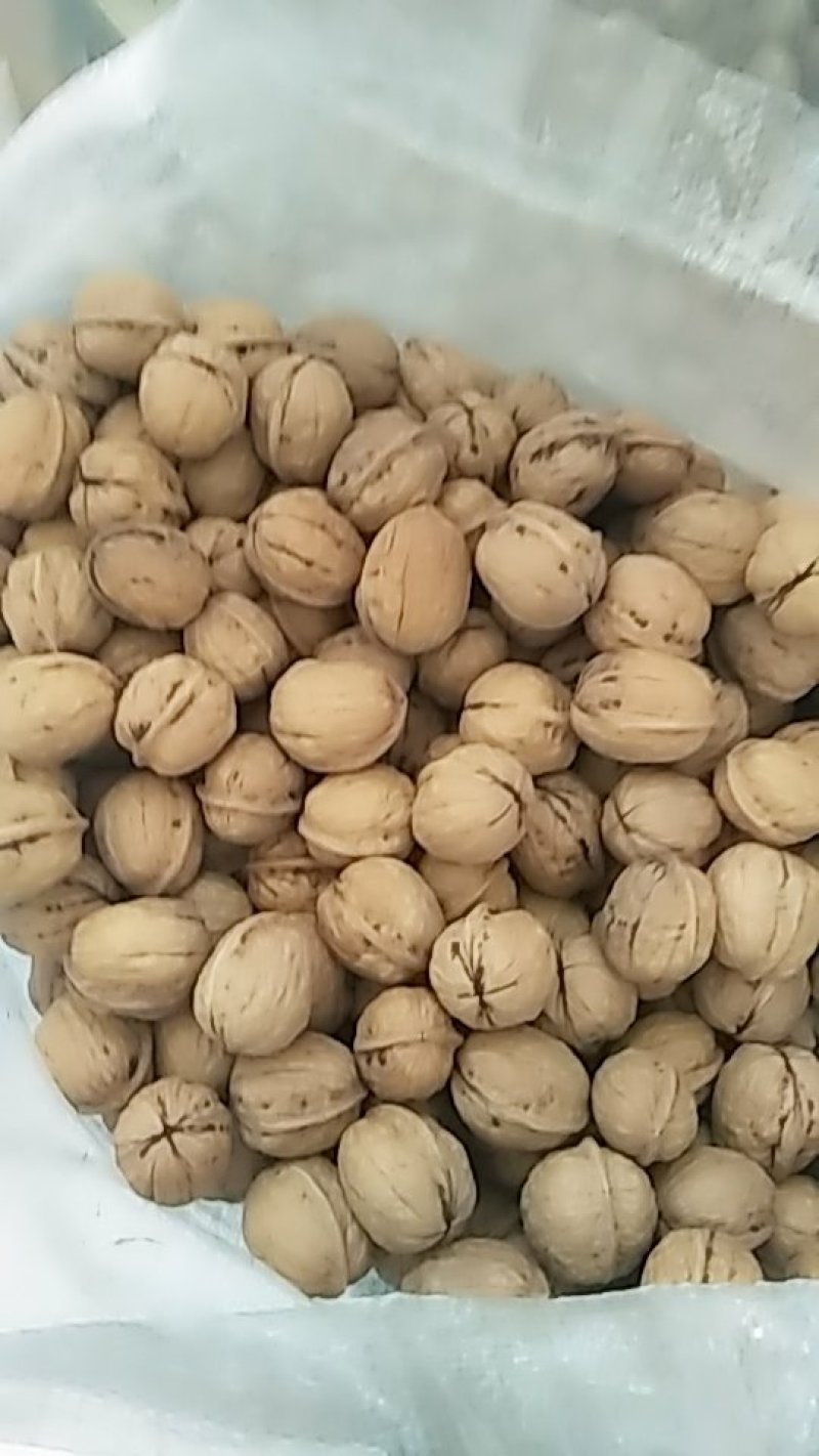 清香核桃