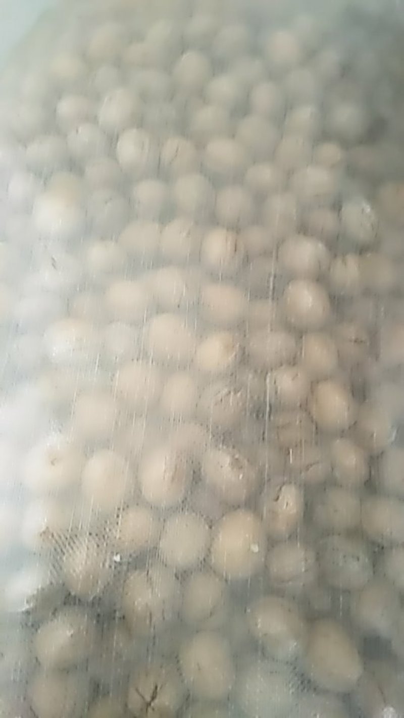 清香核桃