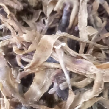 地龙规格比较齐全，欢迎咨询。常年购销动物昆虫类