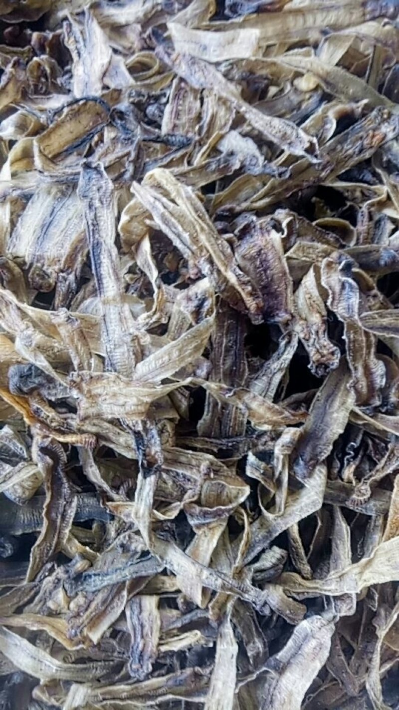 地龙规格比较齐全，欢迎咨询。常年购销动物昆虫类
