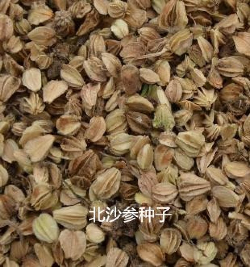 中药材种子