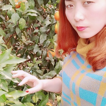 沙糖桔，沃柑等等