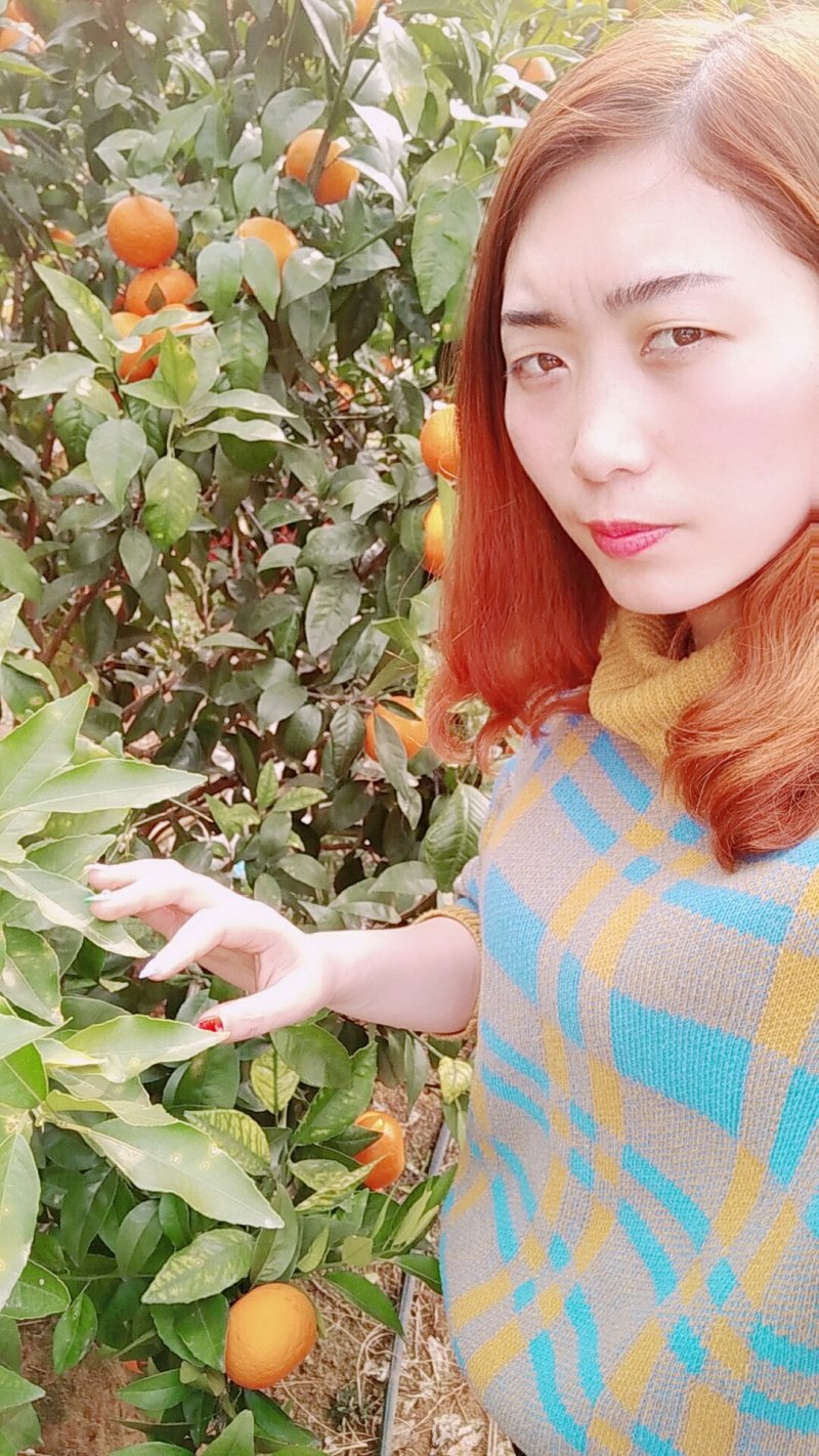 沙糖桔，沃柑等等
