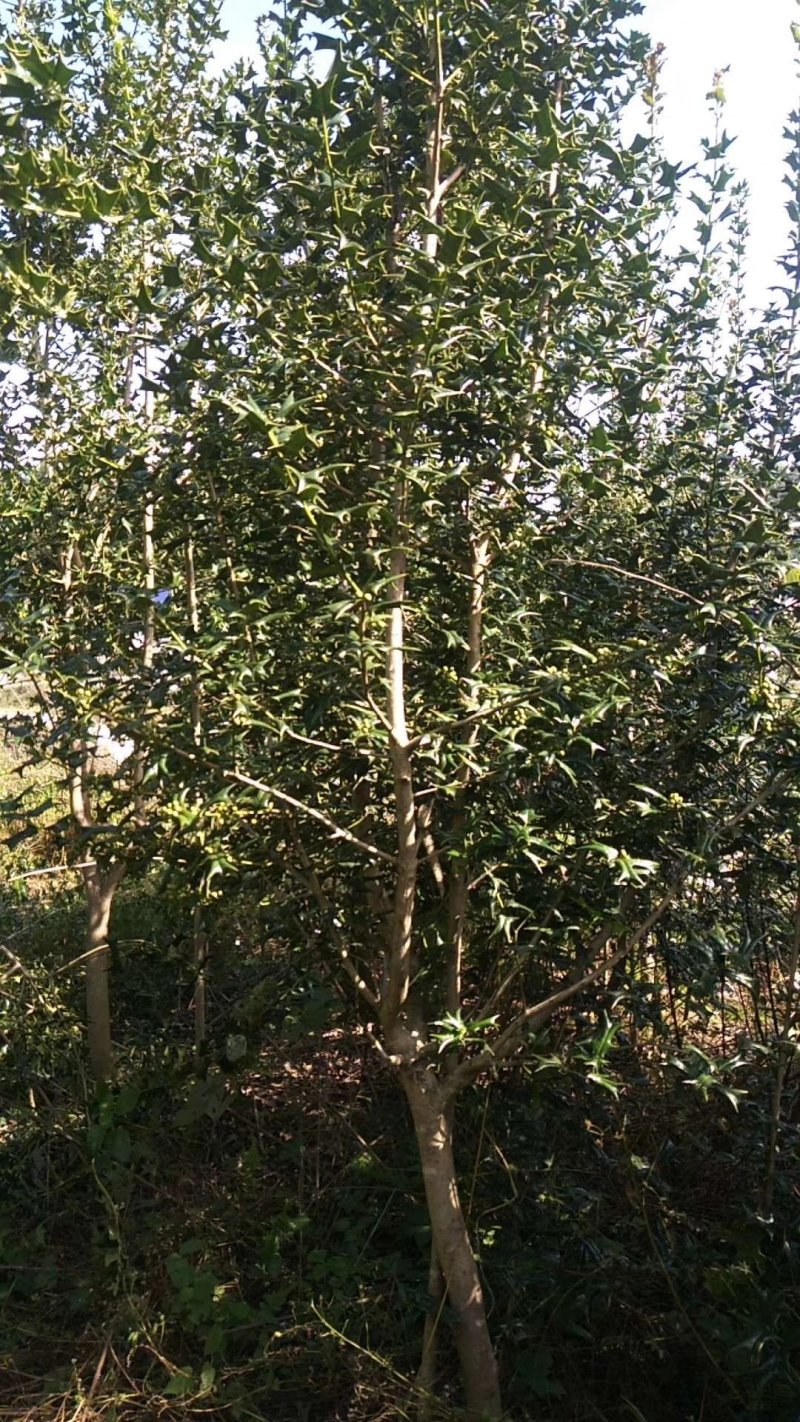 一