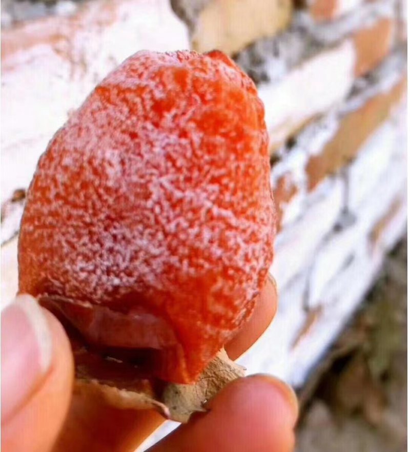 正宗富平柿饼