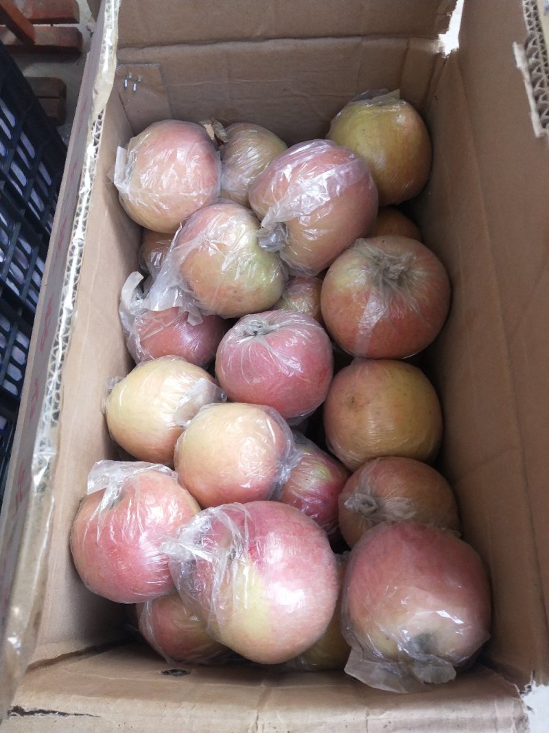 冰糖红富士苹果直供市场批发，电商货，诚信第一，糖心