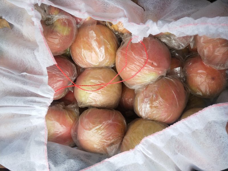 冰糖红富士苹果直供市场批发，电商货，诚信第一，糖心