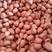 原装不带壳国审花生种子花育42罗汉果二粒红白沙种子产量高