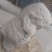 枣阳七方镇尹海波古玩堂汉白玉石雕专卖
