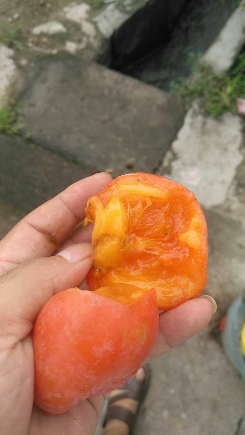 柿饼