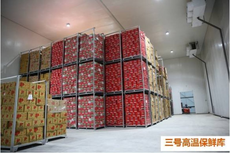 保鲜库！冷冻库！库容30000吨