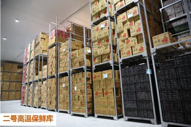 保鲜库！冷冻库！库容30000吨