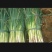 陕西合阳农家大葱