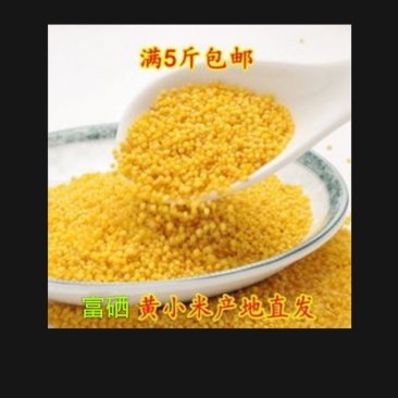 陕西农家富硒小米