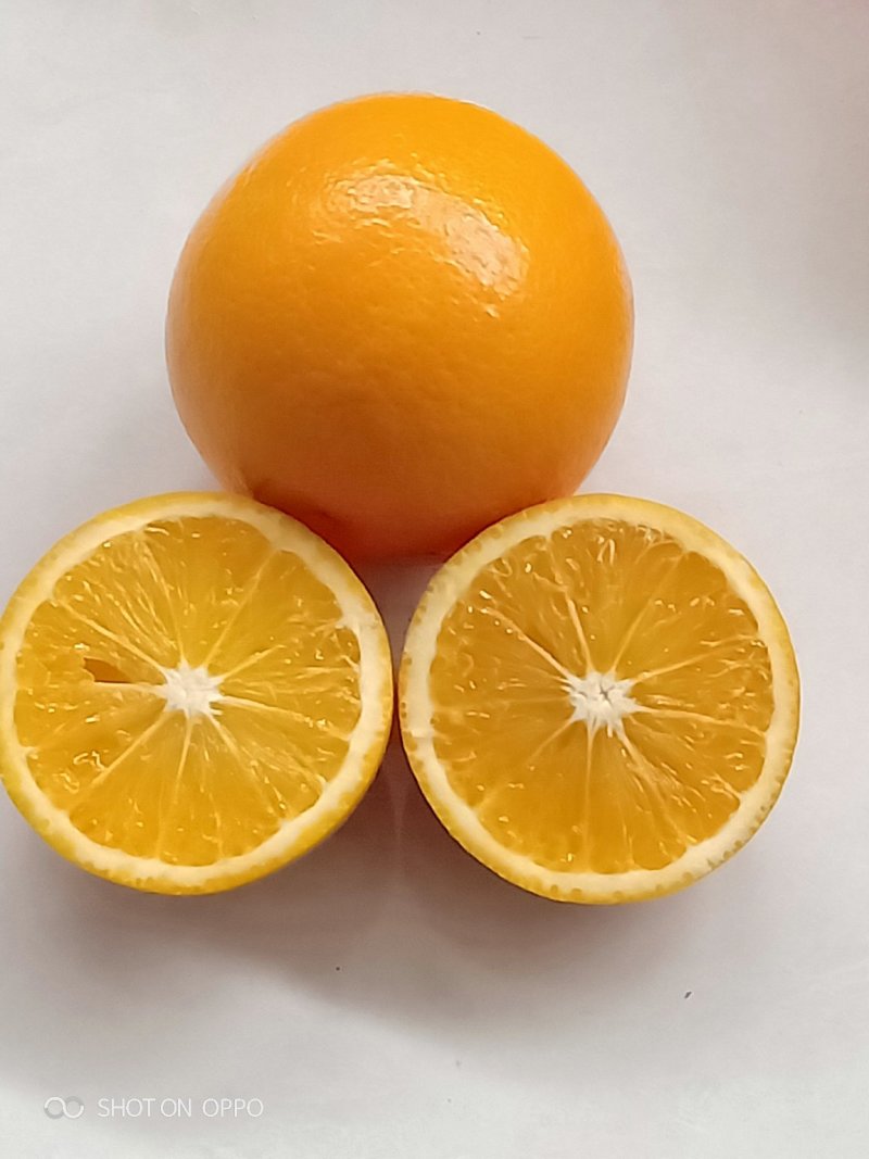 麻阳长寿乡冰糖橙皮薄多汁香甜批发价