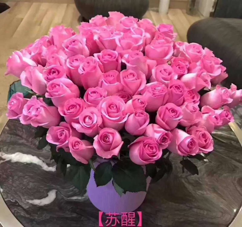 玫瑰花