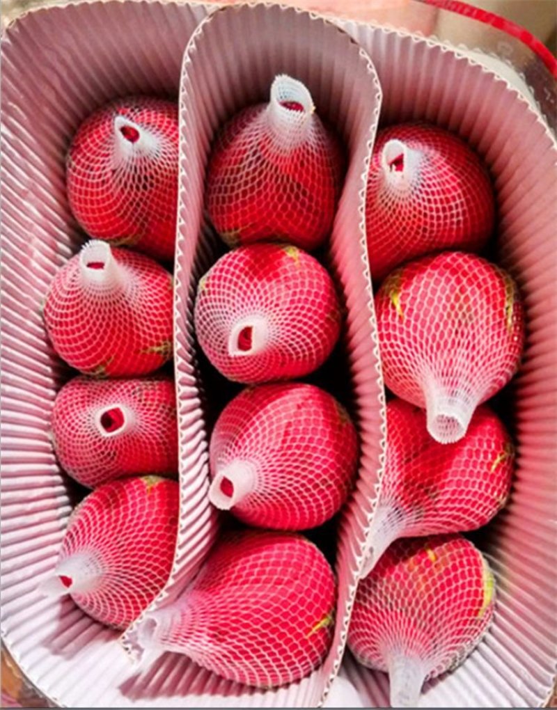 玫瑰花