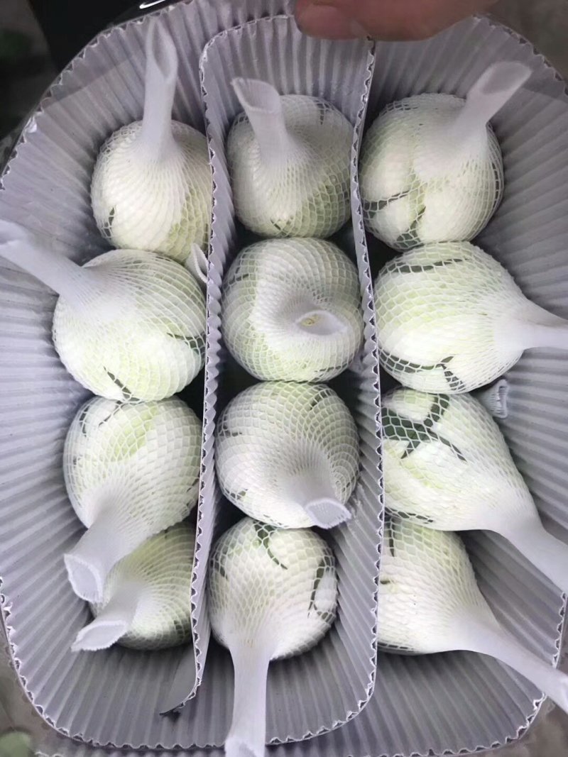 玫瑰花