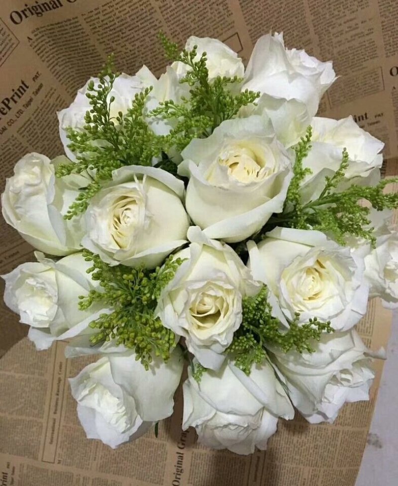 玫瑰花