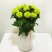 雏菊