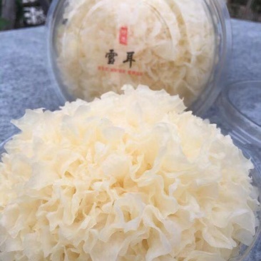 鲜银耳银耳古田银耳