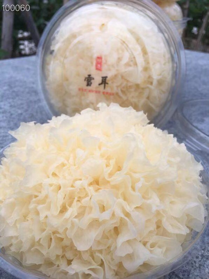 鲜银耳银耳古田银耳