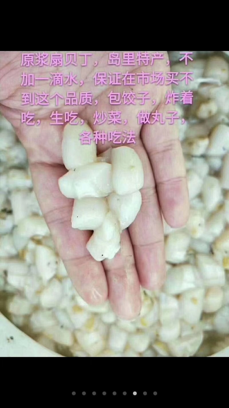 扇贝丁
