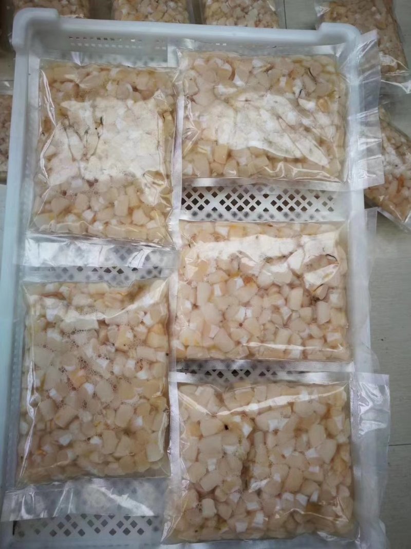 扇贝丁